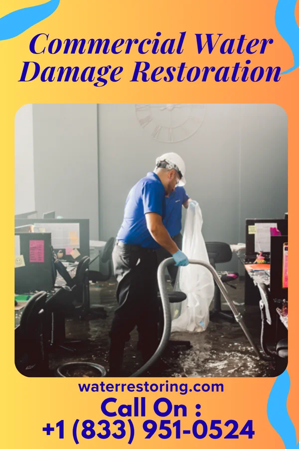 Commercial Water Damage Restoration in La Ward, TX