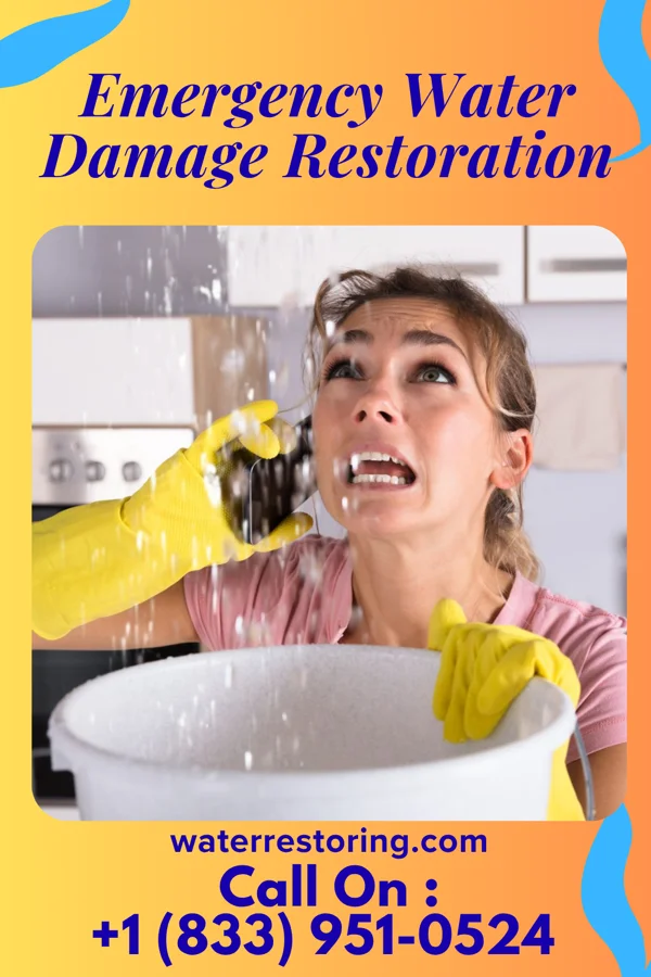 Emergency Water Damage Restoration in La Ward, TX