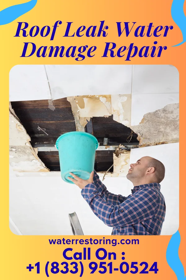 Roof Leak Water Damage Repair in La Ward, TX